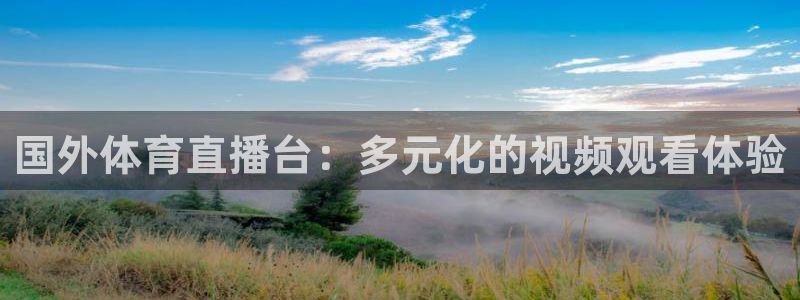 国外体育直播台：多元化的视频观看体验