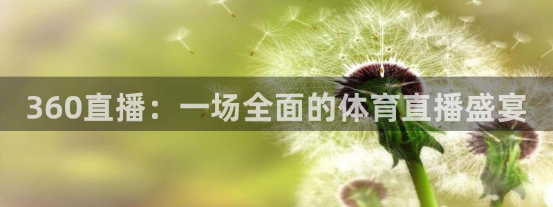 360直播：一场全面的体育直播盛宴