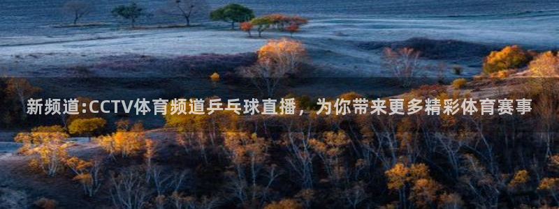 新频道:CCTV体育频道乒乓球直播，为你带来更多精彩体育赛事