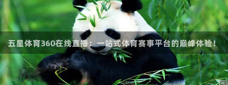 五星体育360在线直播：一站式体育赛事平台的巅峰体验！