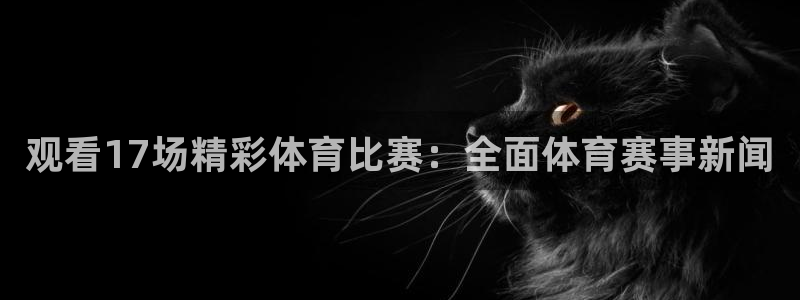 观看17场精彩体育比赛：全面体育赛事新闻