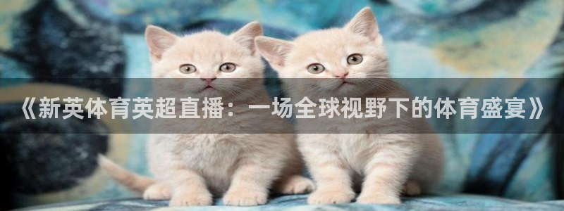 《新英体育英超直播：一场全球视野下的体育盛宴》