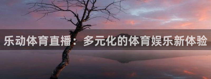 乐动体育直播：多元化的体育娱乐新体验
