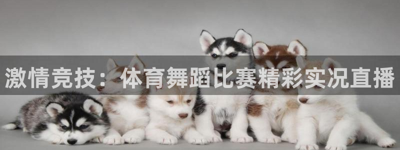 激情竞技：体育舞蹈比赛精彩实况直播