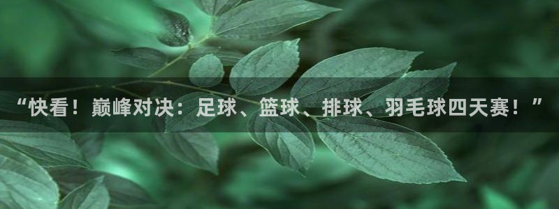 “快看！巅峰对决：足球、篮球、排球、羽毛球四天赛！”